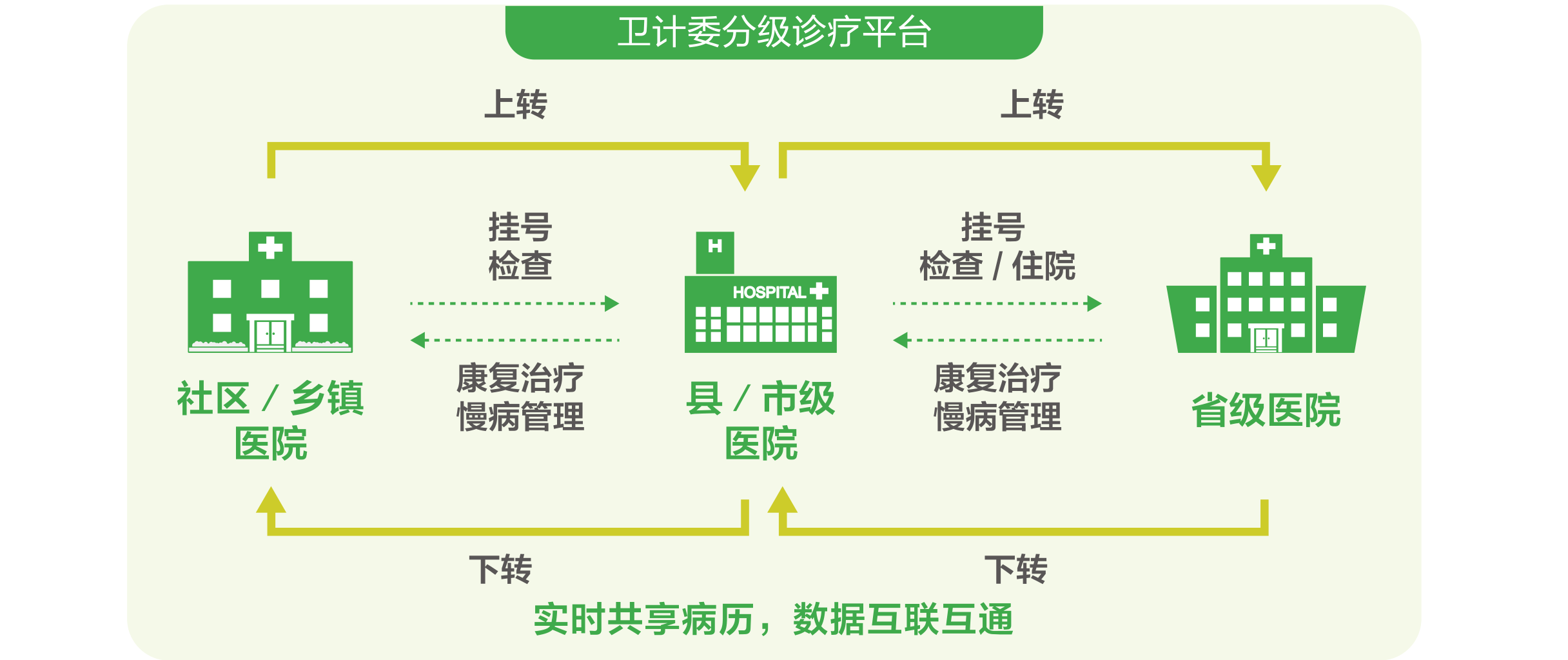分级诊疗构架图